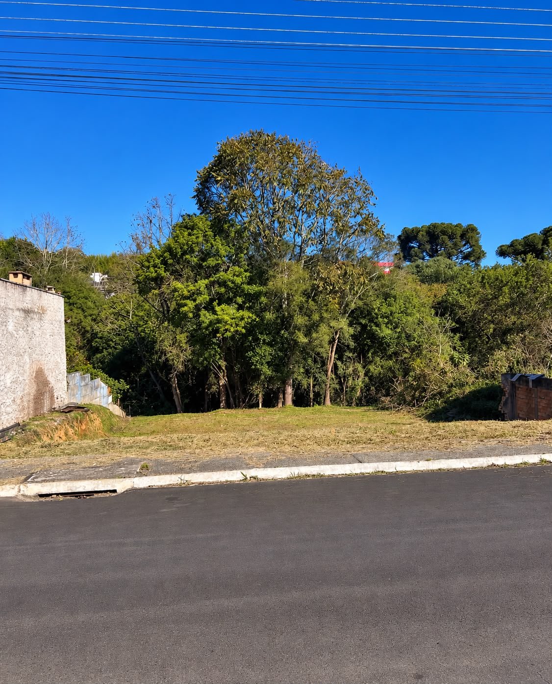 Terreno